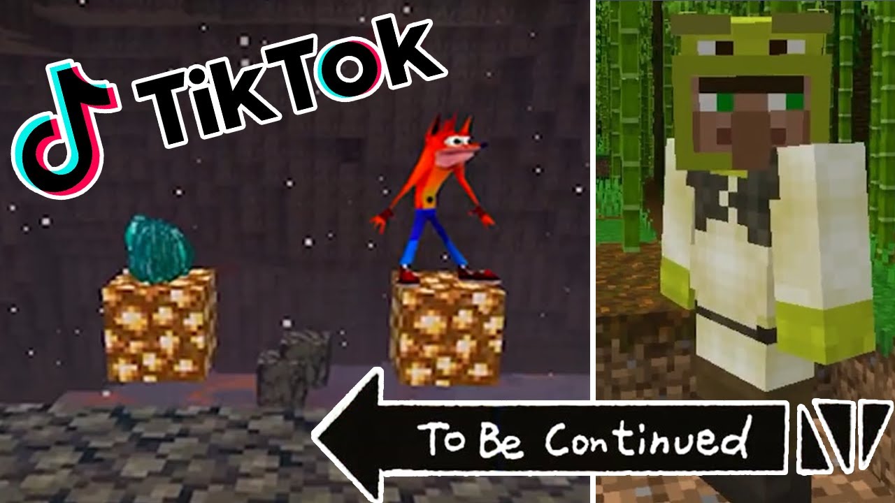 TIK TOK MINECRAFT MEMES COMPILATION 8 Minecraft Videos