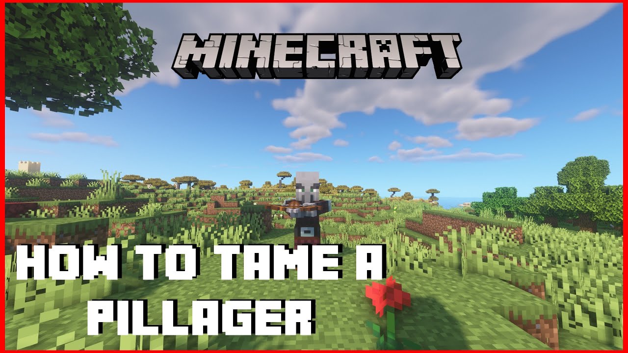 How To Tame A Pillager In Survival Minecraft Shorts Minecraft Videos