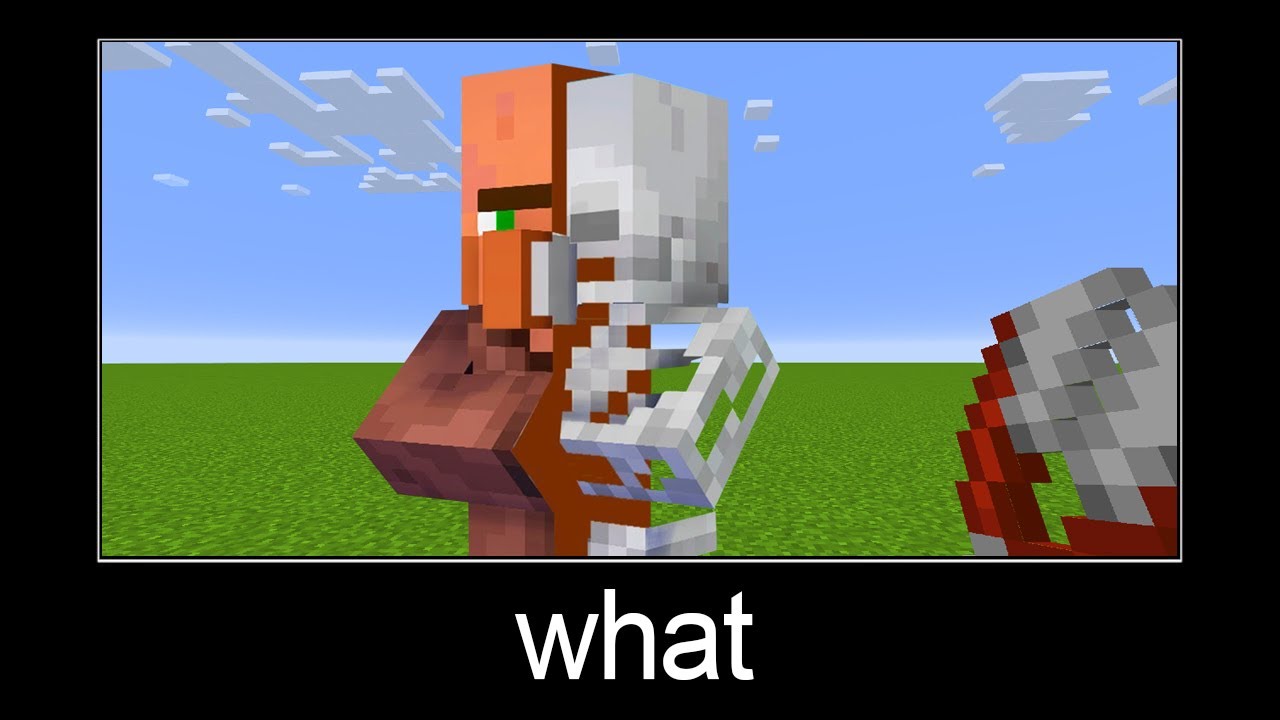 Minecraft Wait What Meme Part Villager Skeleton Minecraft Videos