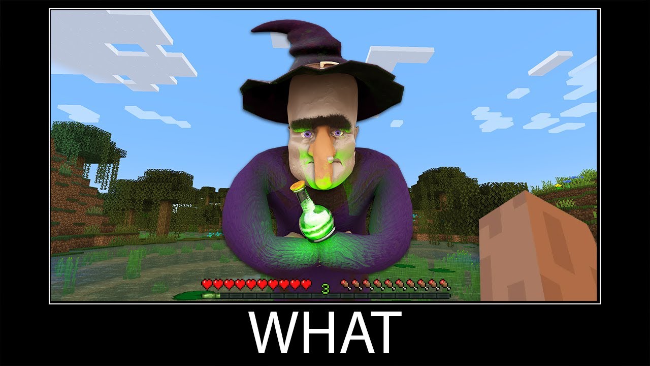 Minecraft Wait What Meme Part 120 Realistic Minecraft Witch Minecraft