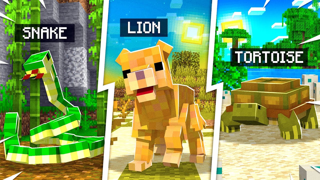 10 *NEW* PETS MINECRAFT NEEDS TO ADD! Minecraft videos