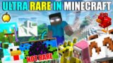 10 Rarest/Hardest things to get in Minecraft