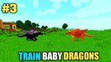 #3 | Training Of Baby Dragons With Oggy And Jack | Minecraft | In Hindi | Rock Indian Gamer |