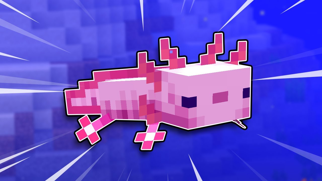 Everything You Need To Know About Axolotls In Minecraft 117