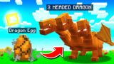 Hatching a 3 HEADED DRAGON in MINECRAFT! (overpowered)