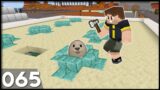 Hermitcraft 7 | Ep 065: I Made Whack-A-Mole in Minecraft!