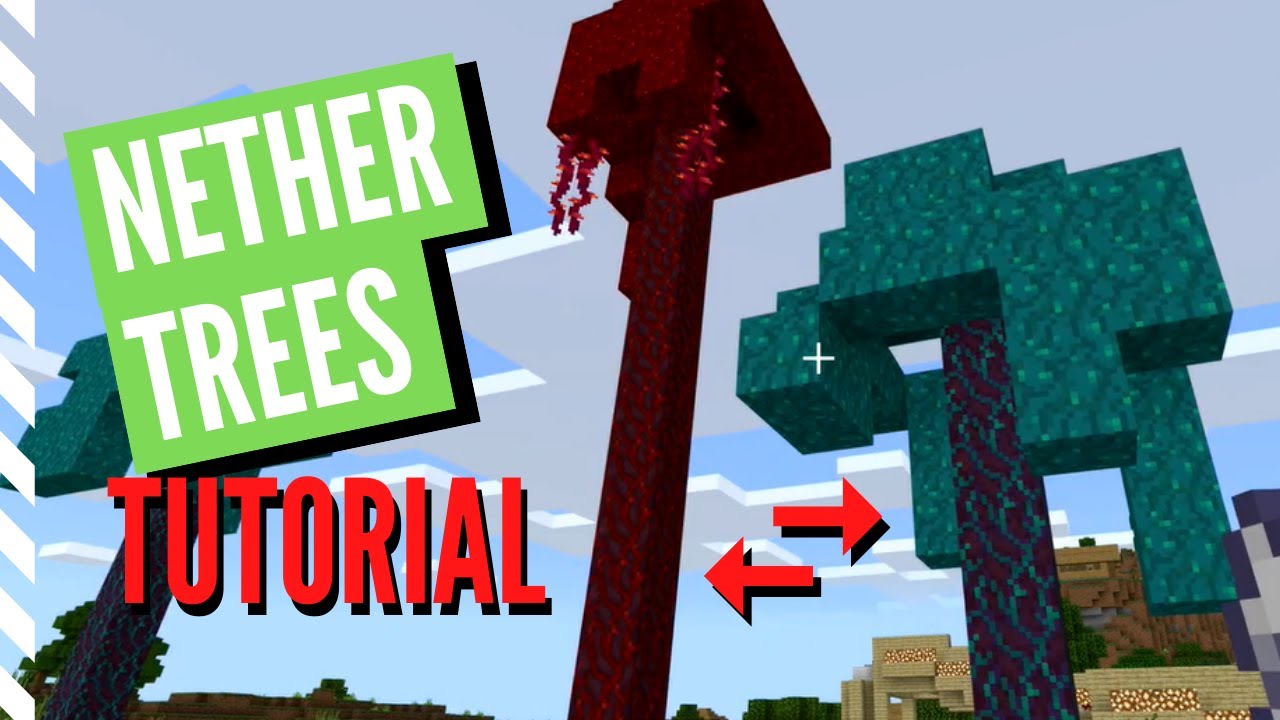 How To Grow Nether Trees