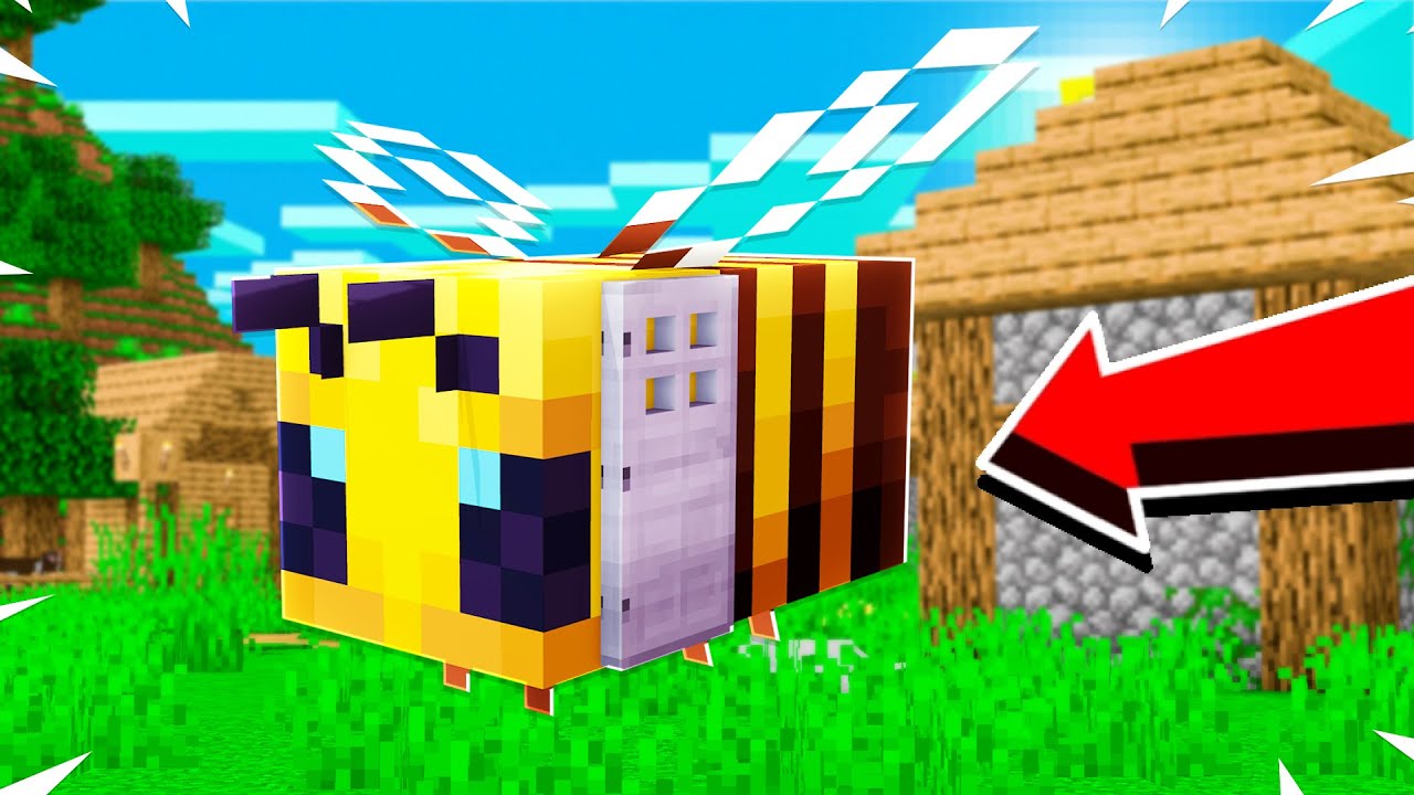 How To LIVE Inside A BEE In MINECRAFT! Minecraft videos