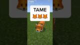 How to tame a FOX in Minecraft – Tips Minecraft