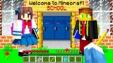 I JOINED A MINECRAFT SCHOOL SERVER…