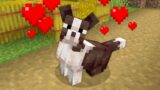I gave Dogs an Update for Minecraft…