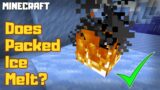 MINECRAFT | Does Packed Ice Melt? 1.16.4
