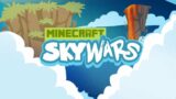 Minecraft 1000IQ Skywars moments