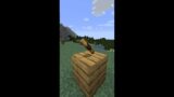 Minecraft 1.17 – The Spyglass, What is it?