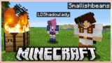 Minecraft BUT We Can't Use A Crafting Table… with @LDShadowLady