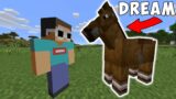 Minecraft, But My Friend Is A Horse…