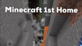 Minecraft First Home
