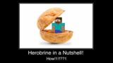 Minecraft Herobrine in A Nutshell