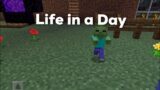 Minecraft Life in a Day