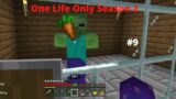 Minecraft: One Life Only S2 #9