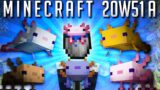 Minecraft Snapshot 20w51a : Axolotl !!