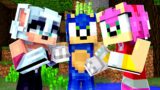 Minecraft – Sonic The Hedgehog 2 – Amy and Rouge Fight For Sonic's Love! [51]