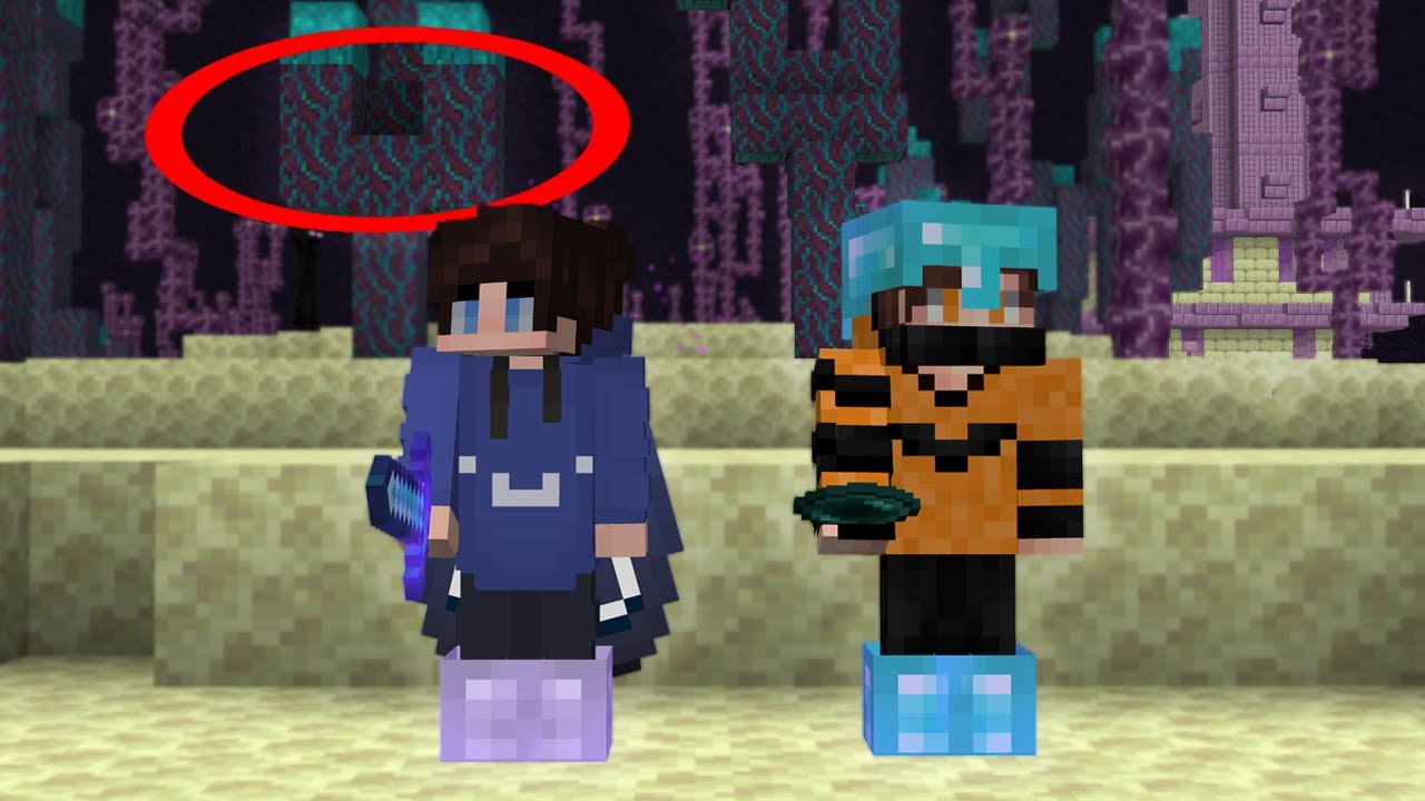 Minecraft, but we start in The End Minecraft videos