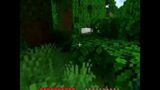 Minecraft – i found Two Pandas in Jungle #shorts