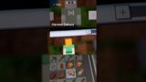 Minecraft pictures of old memory
