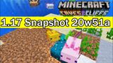 Mob Baru Ditambahkan dan Perubahan Di Minecraft 1.17 Sanpshot 20w51a