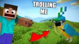 PARROT TROLLING ME IN MINECRAFT | FOR XP FARM | AARVARD AGAIN