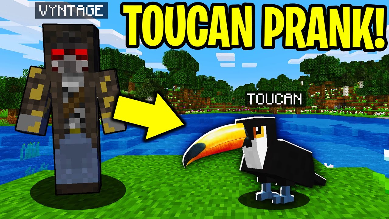 Trolling As A Toucan In Minecraft Minecraft Videos