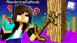 noob Girl starts NEW Minecraft Let's Play (CURSED World…) [1]