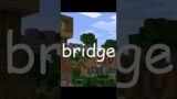 25 UNEXPLAINABLE seconds of building a cobblestone bridge in minecraft
