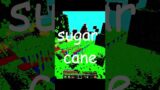 32 MESMERIZING seconds of creating a sugar cane farm in minecraft