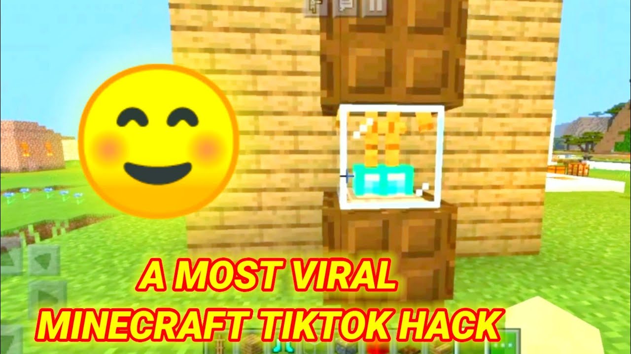 A VIRAL MINECRAFT TIKTOK HACK #short #shorts #roadto100k - Minecraft videos