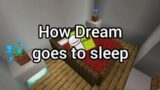 How DREAM goes to Bed in MINECRAFT