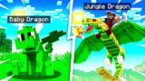 How to TAME a JUNGLE DRAGON in MINECRAFT!