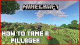 How to Tame a Pillager in Survival Minecraft! #Shorts