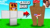 I Spawned SALLU BHAI In Minecraft !!  [Cursed Minecraft Part 2]