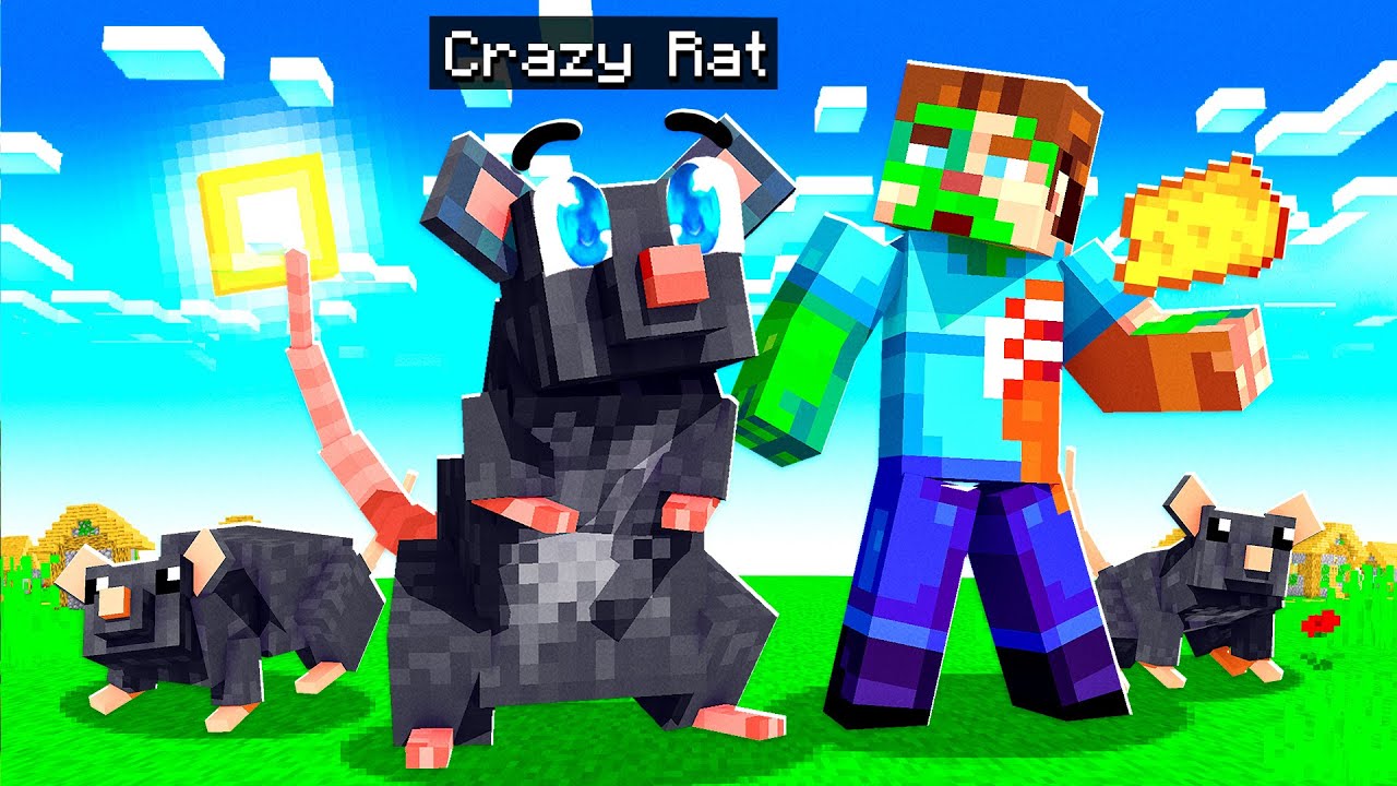 I tamed CUTE PET RATS in MINECRAFT! - Minecraft videos