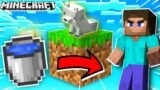 INFINITE WATER SOURCE HACK IN MINECRAFT | ONE BLOCK (Meeting A New Friend)