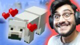 MAKING A HOUSE FOR MY POLAR BEAR IN MINECRAFT & SMP ANNOUNCEMENT – RAWKNEE LIVE