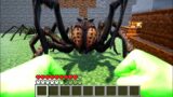 MINECRAFT IN REAL LIFE – STEVE BECOMES HULK – REALISTIC MINECRAFT