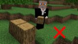 MINECRAFT PERO NO PUEDES TOCAR EL SUELO