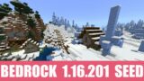 Minecraft Bedrock 1.16.201 Seed: Snowy tundra village at spawn has a hut enclosed in ice spikes