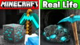 Minecraft IN REAL LIFE! (Items, Blocks, Animals)