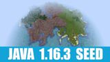 Minecraft Java 1.16.3 Seed: Spawn on a giant survival island with mushroom field, taiga, and village