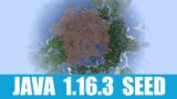 Minecraft Java 1.16.3 Seed: Spawn on a huge mushroom field with a taiga village standing nearby