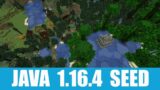 Minecraft Java 1.16.4 Seed: Jungle temple and taiga zombie village stand together near spawn